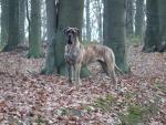 1-21-miesiecy-287_150x0