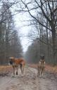 1-akwamaryna-i-syn-malbec-dogim-4933_128x128