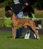 1-christal-1-7014_150x0