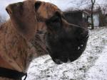 1-dziewczecy-portret-2360_150x0