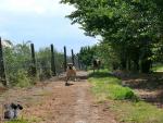 1-gonitwa-kaji-i-azuryjpg-5991_150x0