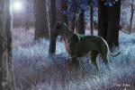 1-krystynka-w-krainie-czarow-5892_150x0