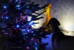 1-magia-swiat-i-straszna-zyrafa-6496_150x0