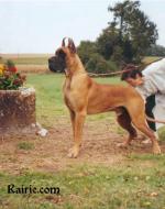 1-rairy-993_150x0