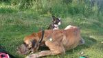 10-nic-nie-bierze-7928_150x0