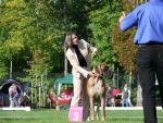 11-amarant-euddc-iii-7jpg-66_150x0