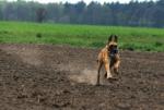 11-przez-laki-przez-pola-7215_150x0