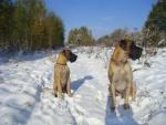 12-listopad-2012-anbar-i-armani-fot-i-pawlak-2965_150x0