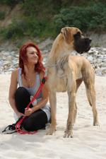 13-balda-i-magda-2292_150x0