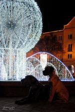 13-w-pieknej-scenerii-4739_150x0