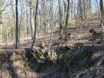 13-zdobywamy-goryjpg-1552_150x0