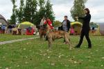 14-klasa-championow-fot-b-hajbosjpg-3334_150x0