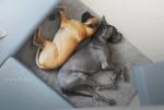 15-yin-i-yang-7529_150x0