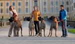 19-amarant-amber-azura-i-loganjpg-77_150x0
