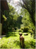 2-2-zaczarowany-ogrod-1714_150x0