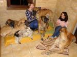 2-fot-nieco-dziwna-mina-magdy-i-bardzo-zdziwione-towarzystwojpg-3239_150x0