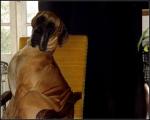2-na-fotelu-5812_150x0