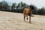 2-pierwszy-raz-na-plazy-5479_150x0