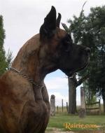 2-saphira-415_150x0