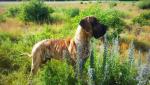20-lakowy-chlopak-5952_150x0