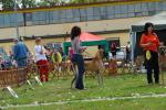 22-bal-de-feu-fot-b-hajbosjpg-3138_150x0