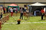 23-bal-de-feu-fot-b-hajbosjpg-3139_150x0