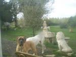 24-10-miesiecy-2758_150x0
