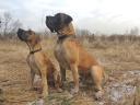 3-anbar-i-maly-iggy-4868_128x128