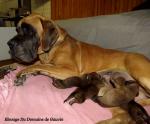 3-mloda-dumna-mama-5797_150x0