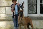 3-rairy-995_150x0