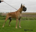 3-satchmo-1013_150x0