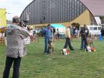 3-toscac-jagsza-i-ursimi-axedius-151_150x0