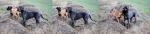 32-historia-pewnego-pomyslu-4757_150x0