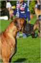4-amarant-ddc-fotgdphotoprvpl-1659_128x128