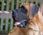 4-cayman-915_150x0