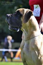 4-fot-gdpfotography-3272_150x0
