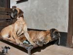 4-kaja-i-spioch-azurajpg-6039_150x0