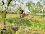 4-romantyczniejpg-5530_150x0