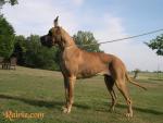 4-veronese-955_150x0