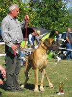 5-diesel-bisdog-bohemia-fot-jan-melichercik-3978_150x0