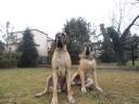 5-iggy-i-anbar-7836_128x128