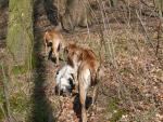 5-wracamy-do-domujpg-1781_150x0