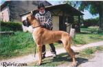 6-rairy-998_150x0