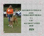 6-vicomtesse-974_150x0