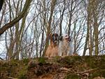 7-kaja-i-budrysjpg-6933_150x0