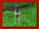 7-trzecie-urodziny-3859_150x0