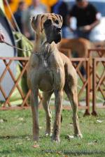 8-do-dol-lenka-klobasova-3124_150x0
