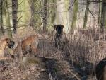 8-mama-i-corki-w-chaszczachjpg-1547_150x0
