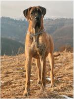 9-koniec-zimy-1755_150x0