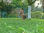 9-poganiamy-sie-7865_150x0